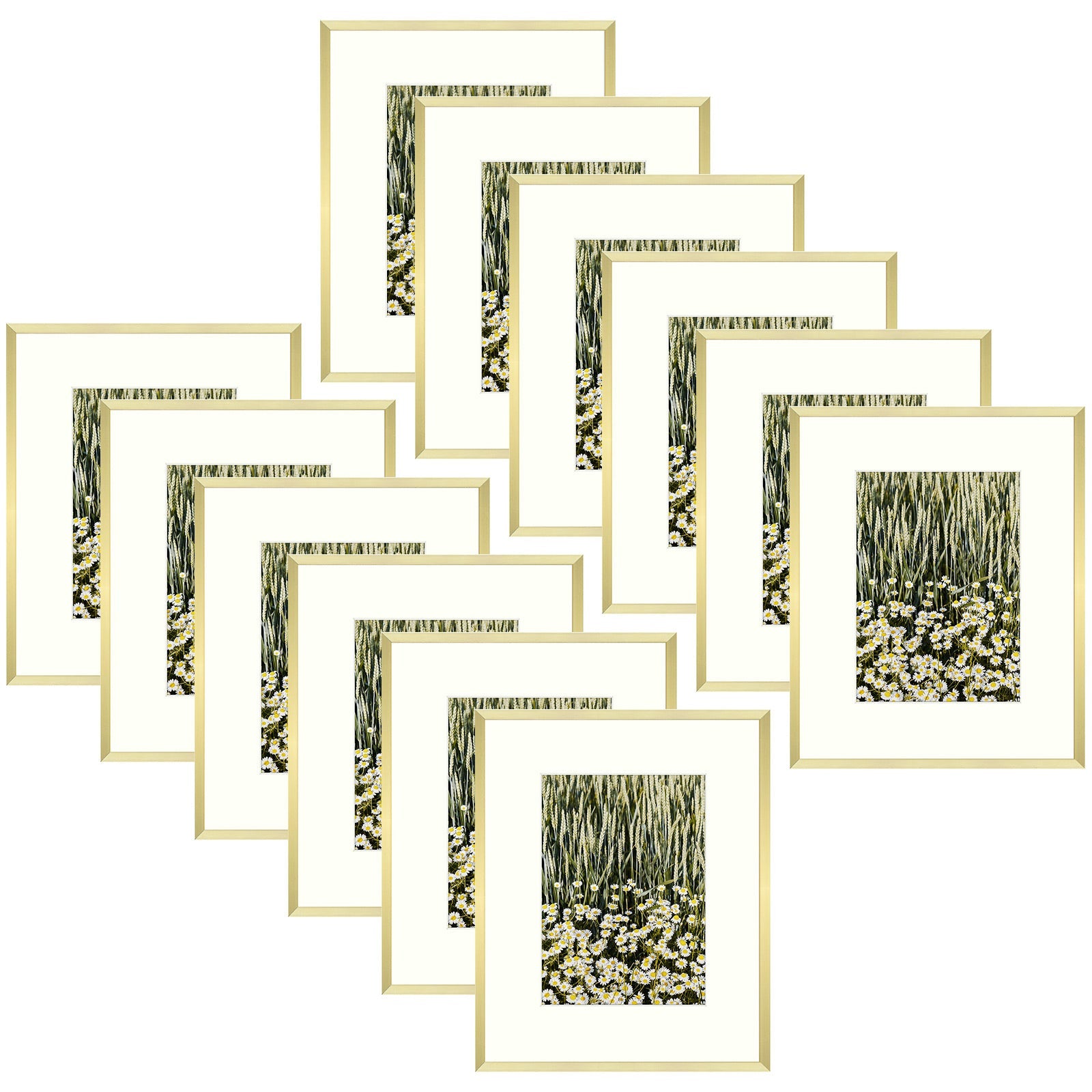 Aluminum Frames with Ivory Mat and Real Glass(12 Pack) 8 x 10 Matted to 5 x 7 Gold Picture Frame Golden State Art