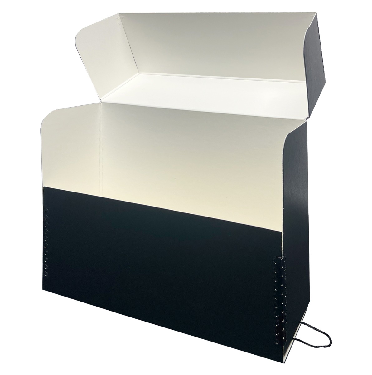 Lineco 613-1512 Bulk Photo Storage Box (Without Envelopes, 15.5 x 12 x 5,  Black)