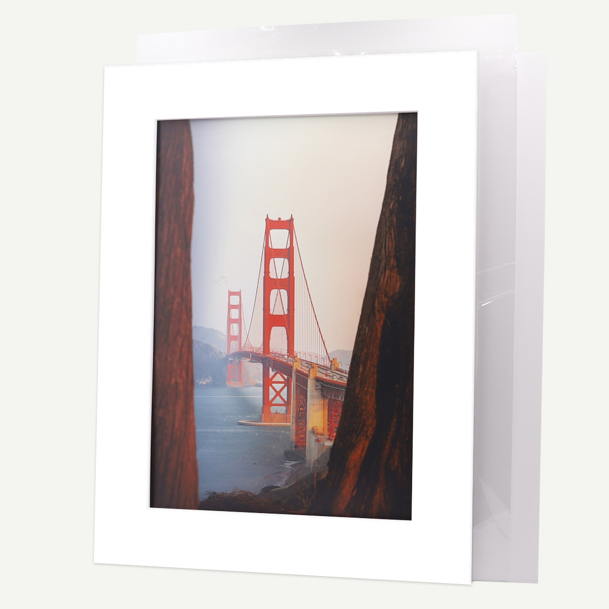 Golden State Art,8x10 Pre-cut Mat with Whitecore fits 5x7 Picture